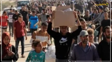 موقف حاسم.. الإمارات تدعم جهود مصر وترفض بقوة تصريحات نتنياهو بشأن تهجير الفلسطينيين 2